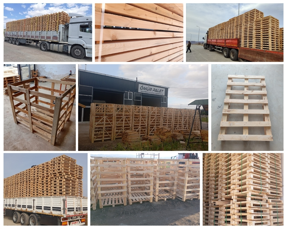 Schoten Houten Kisten, Europallets Groothandel Kopen